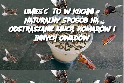 Umieść To w Kuchni – Naturalny Sposób na Odstraszanie Much, Komarów i Innych Owadów